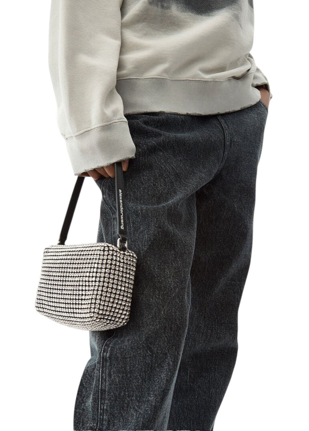 Сумка Alexander Wang Wangloc Heiress Rhinestone Pouch — SSTORIES