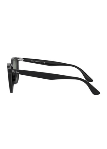Ray-Ban RB 4258 (601/71)